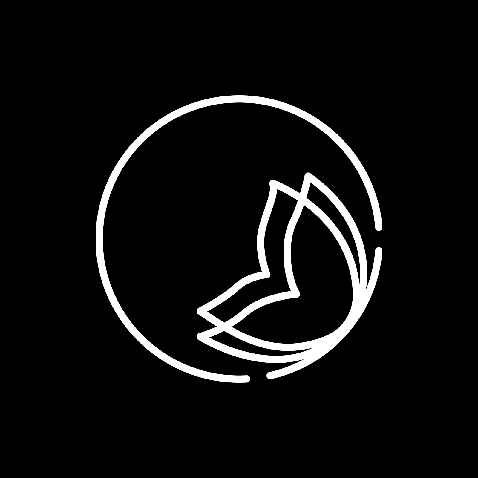 1600x1600_Katharina_Trunk_09